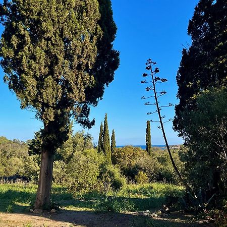 Les Gites D'Ostriconi - Villa Ogliastro Palasca  Exterior foto