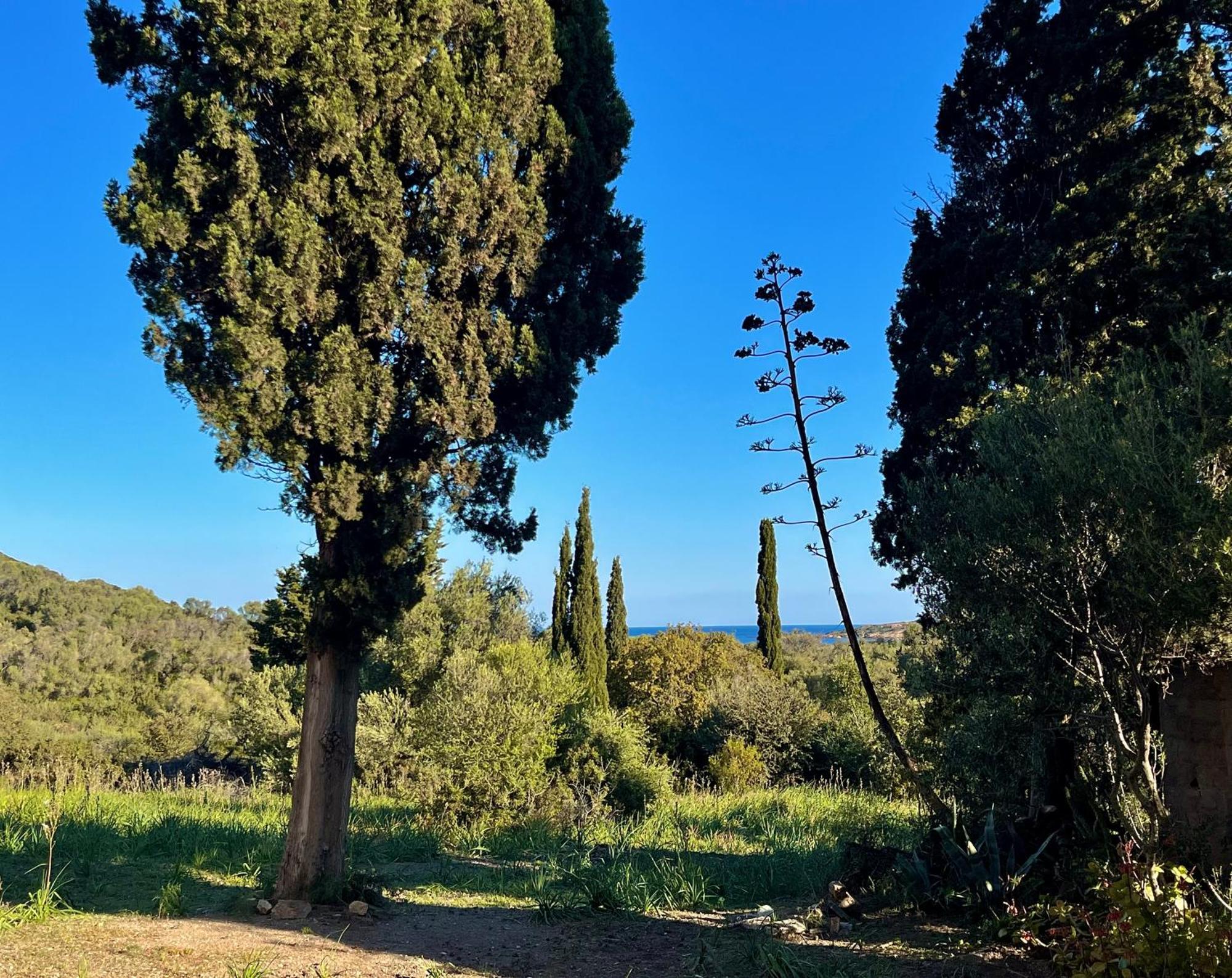 Les Gites D'Ostriconi - Villa Ogliastro Palasca  Exterior foto